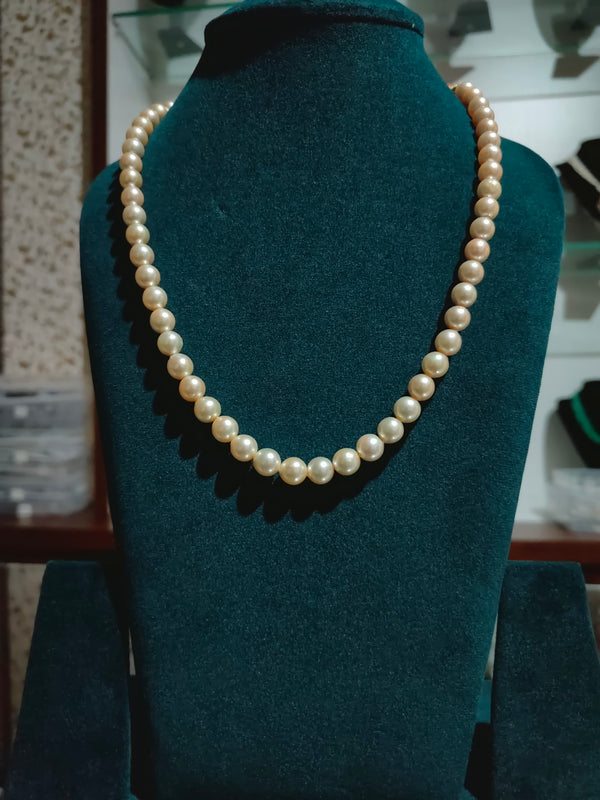 South Sea Pearls (Golden) (Round) (Medium Size)