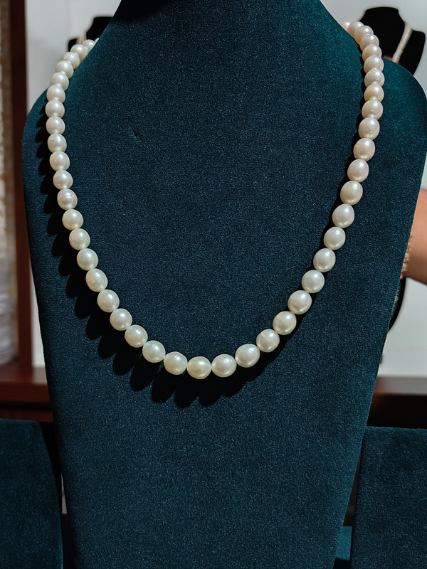 South Sea Pearls – White Oval Medium | Premium Lustrous Pearls for Jewellery