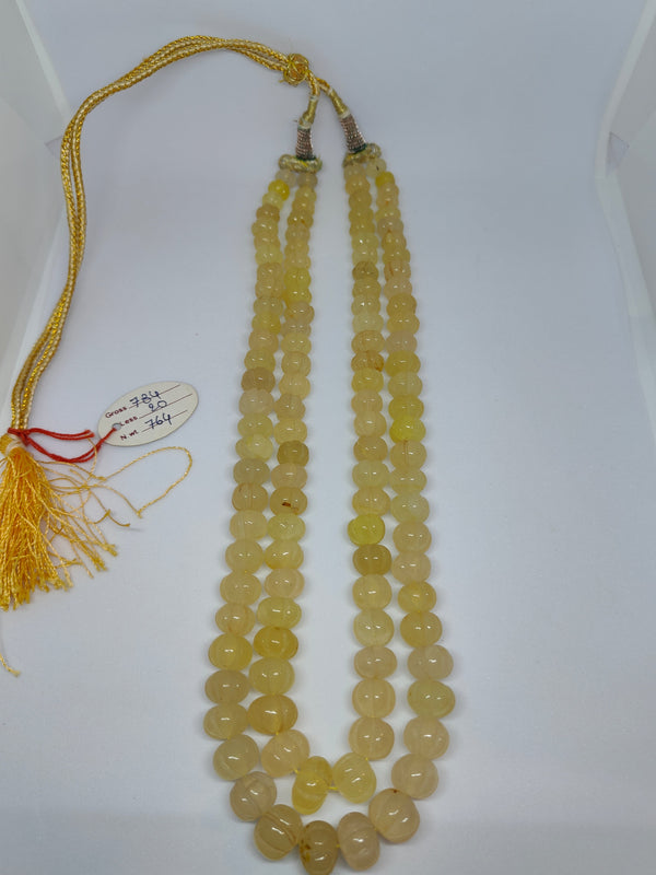 Yellow Tarboja
